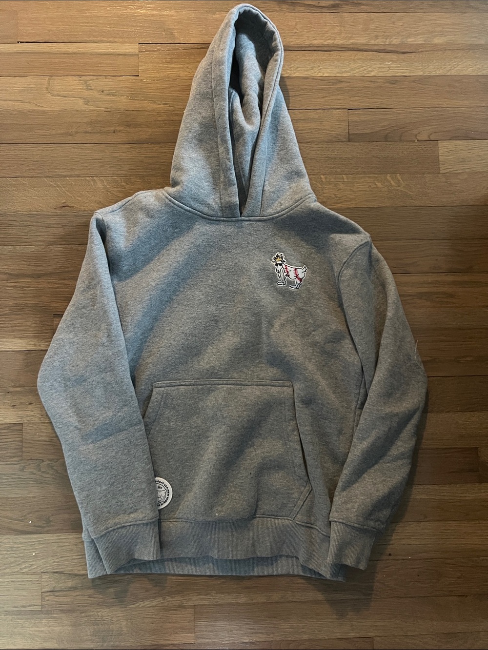 Youth Boys GOAT USA Baseball Sweatshirt Size XL